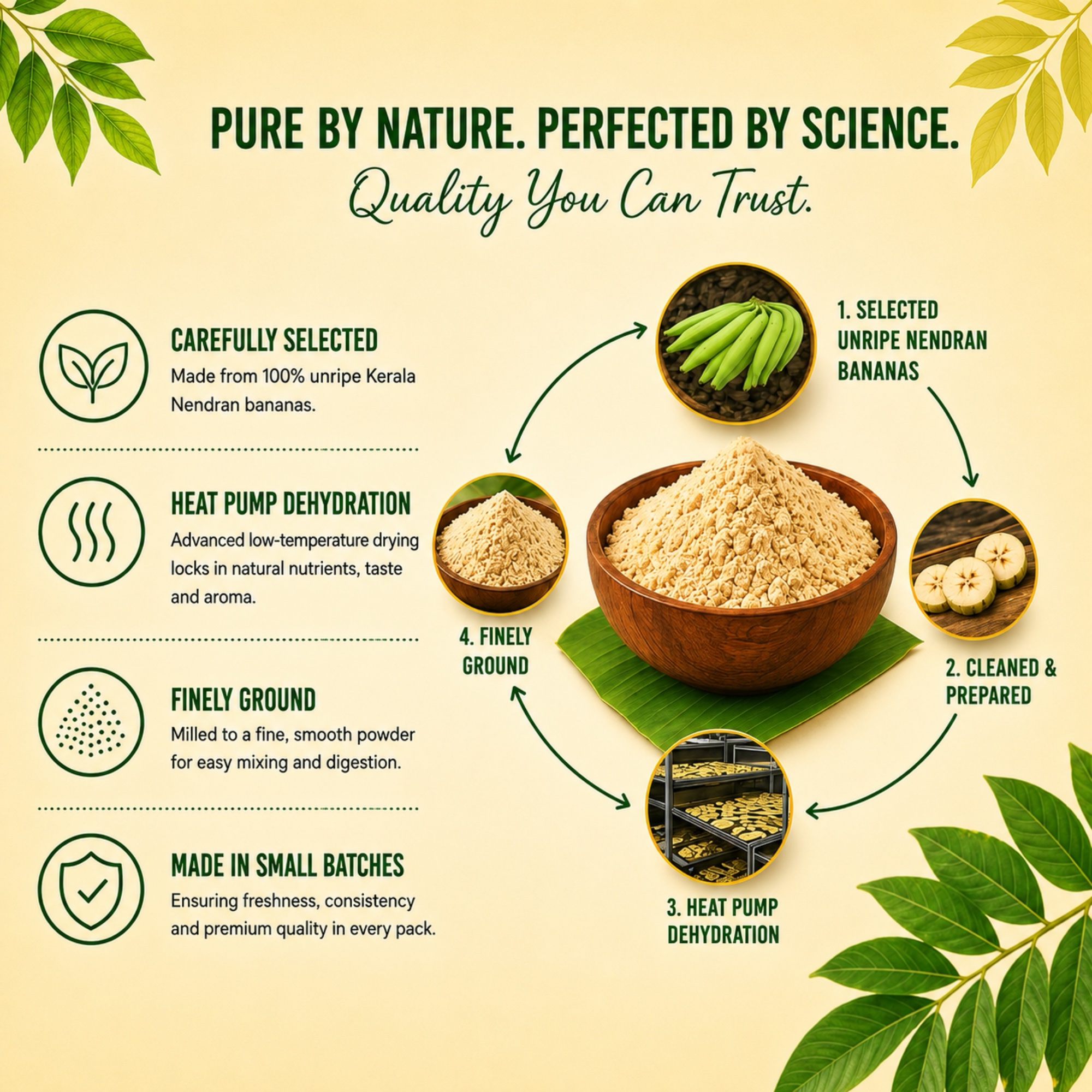 Raw Nendran Banana Powder - Image 4