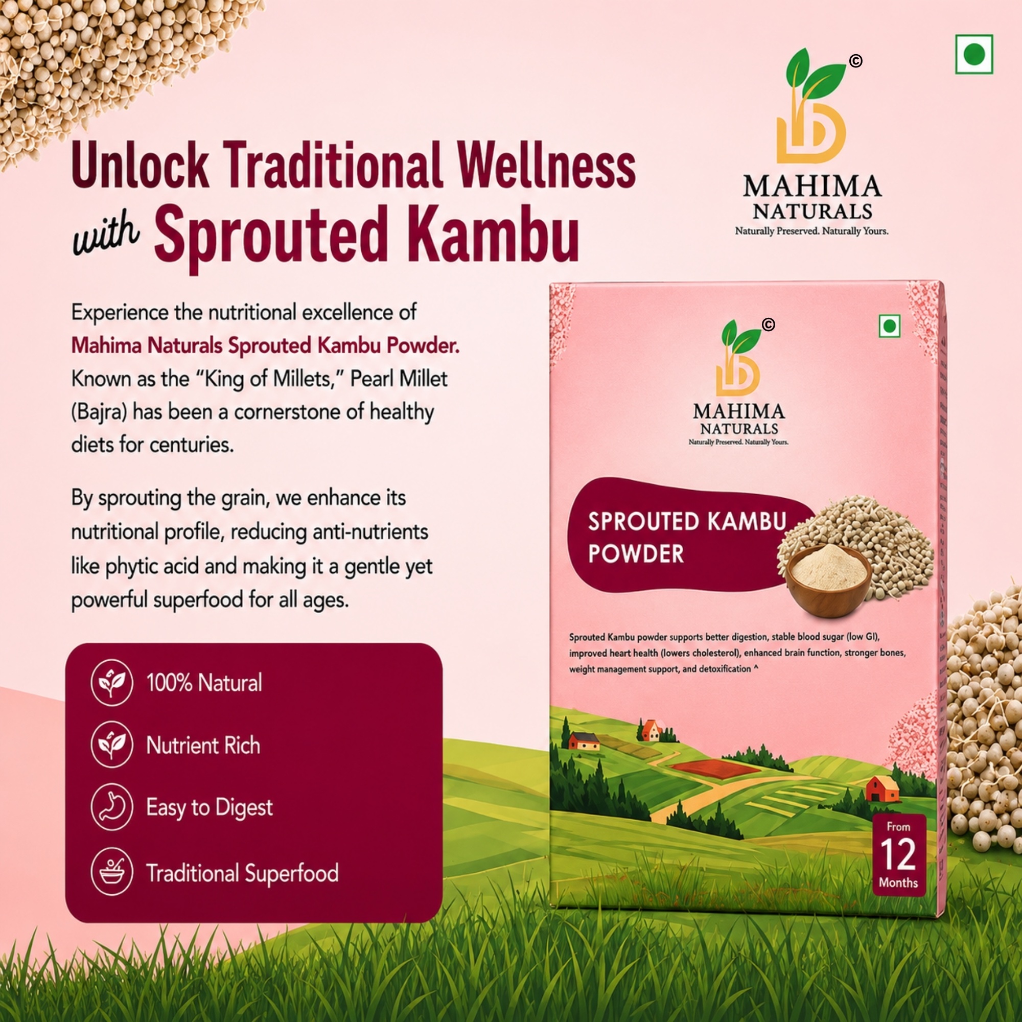 Sprouted Kambu Powder - Image 2