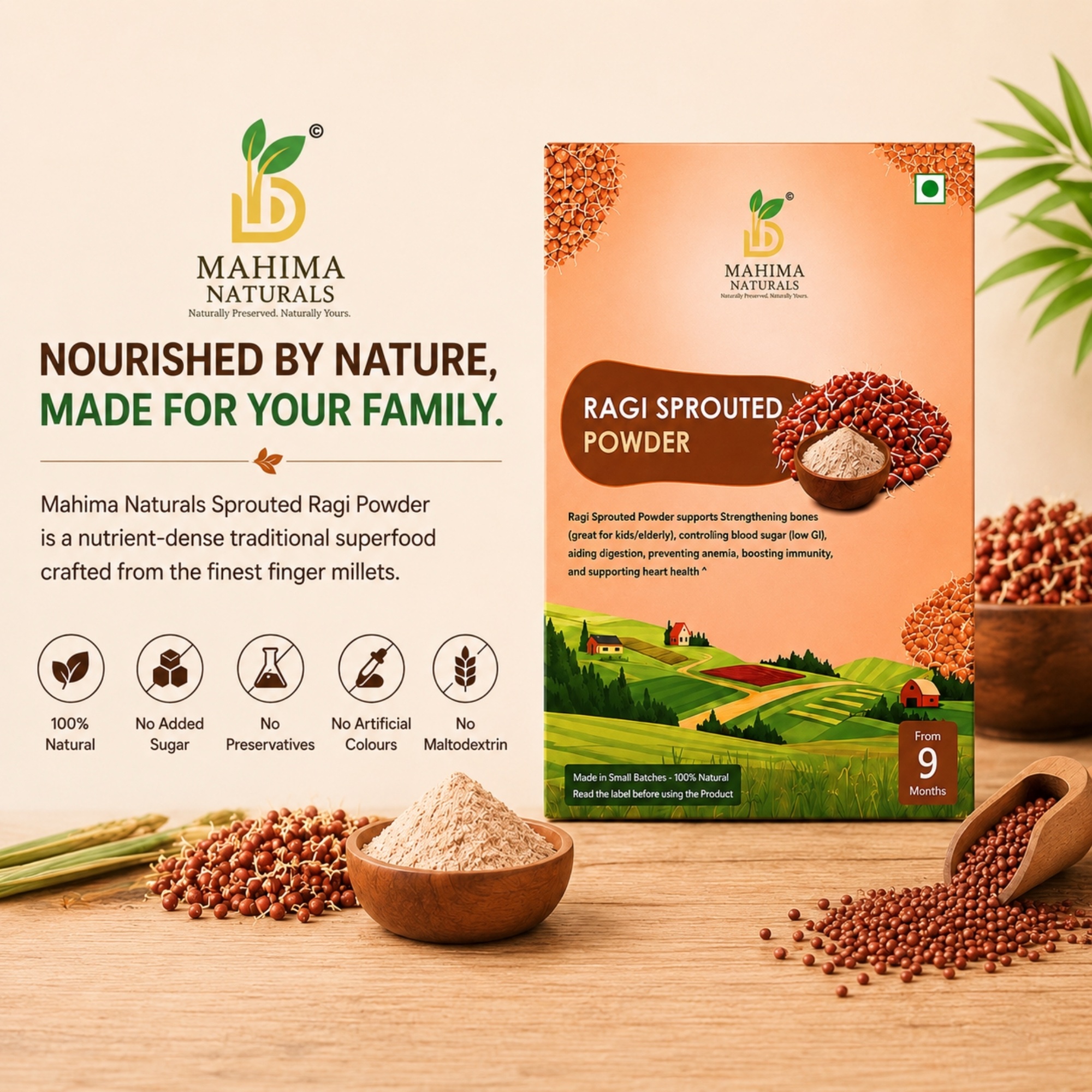 Sprouted Ragi Powder - Image 2